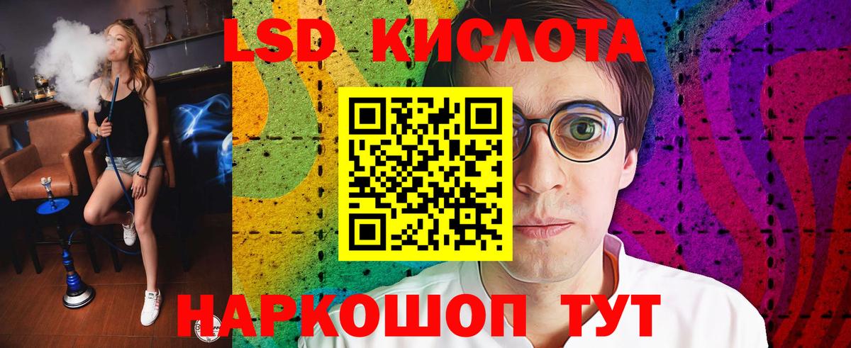 Новозыбков  hydra ONION  Вход с VPN  ЛСД экстази ecstasy 