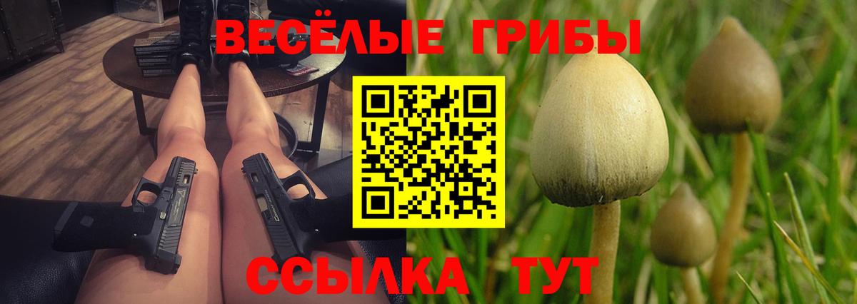 Новозыбков  Псилоцибиновые грибы Psilocybe  Вход с VPN 